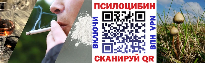сколько стоит  Шелехов  Псилоцибиновые грибы мухоморы 